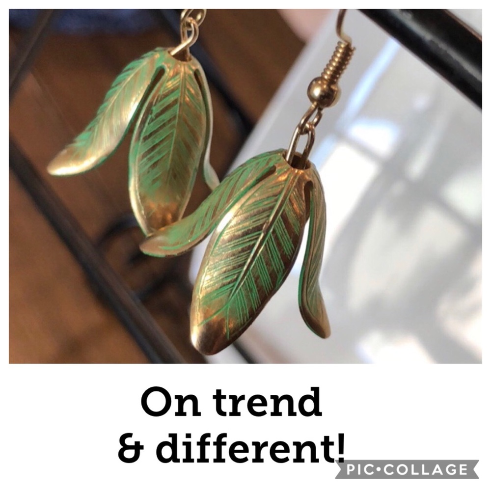 ⬇️Feather earrings. These are Fabulous! NWT.